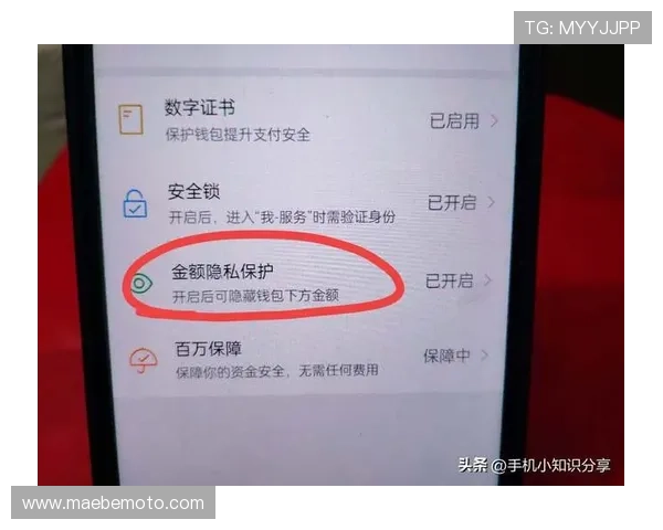 详解凯发k8官网下载的存取款方式,保障你的资金安全 详解凯发k8官网下载的存取款方式,保障你的资金安全